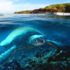 Honolua Honu（JR01)